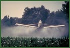 Crop spraying with cancer-causing pesticides and toxic runoff from the leaching of chemical fertilizers is a common and environmentally costly downside of factory farm operation.