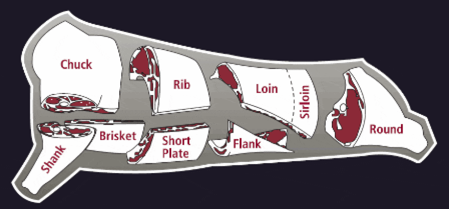 Cheap Primal cuts of beef diagram.