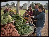 family buying fresh fruit at farmers market