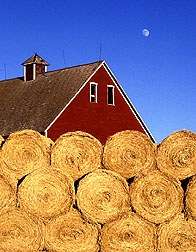 Image of rolls of hay on farm, sustainable farm that is.