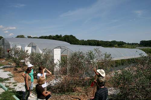 organic farm greenhouses