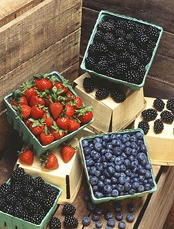 Picture of berries, just one example of the fresh seasonal harvests found at most local Farmers Markets.